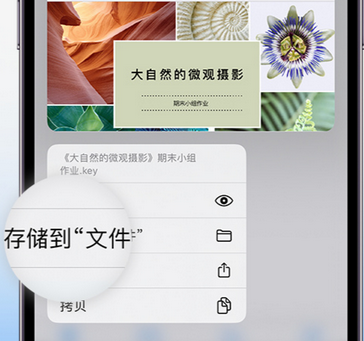 察哈尔右翼中apple维修中心分享iPhone文件应用中存储和找到下载文件