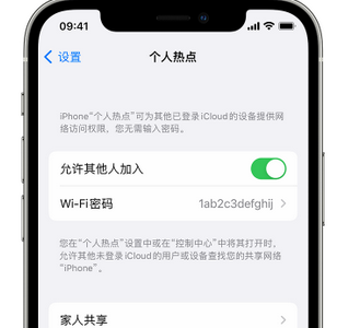 察哈尔右翼中apple服务站点分享iPhone上个人热点丢失了怎么办 