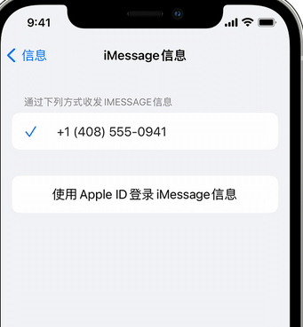 察哈尔右翼中apple维修iPhone上无法正常发送iMessage信息