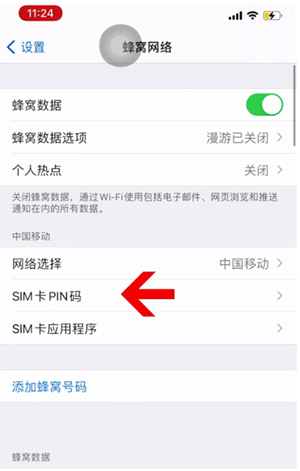 察哈尔右翼中苹果14维修网分享如何给iPhone14的SIM卡设置密码 