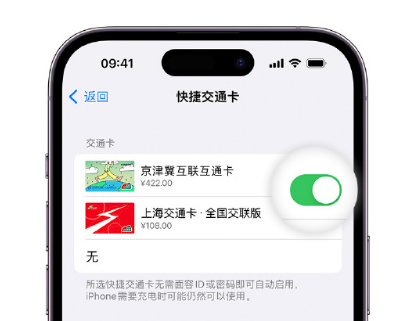 察哈尔右翼中apple维修点分享iPhone上更换Apple Pay快捷交通卡手绘卡面 