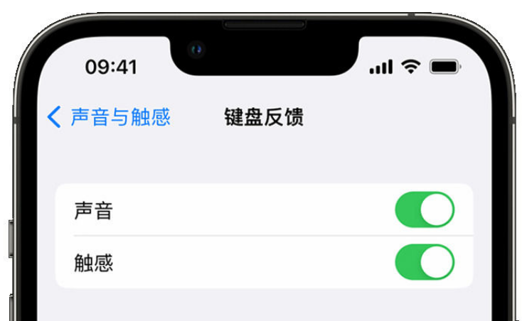 察哈尔右翼中苹果手机维修分享iPhone 14触感键盘使用方法 