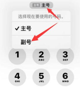 察哈尔右翼中苹果14维修店分享iPhone 14 Pro Max使用副卡打电话的方法 