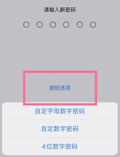 察哈尔右翼中苹果14维修分享iPhone 14plus设置密码的方法 